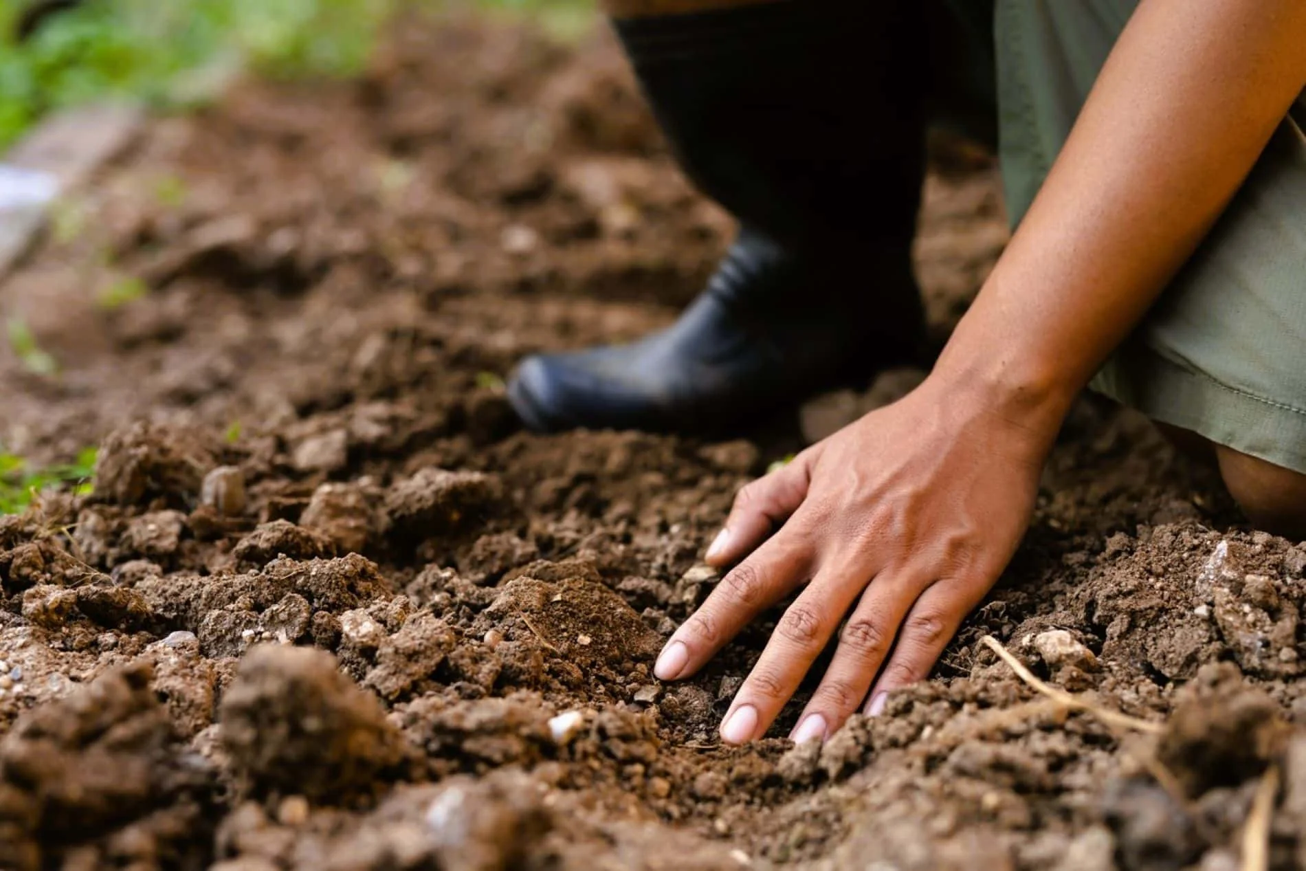 The elders always prepared their soil this way in February: their harvests were twice as abundant